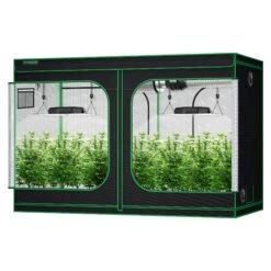 Standard Grow Tent Kit GIY-105 10x5, 12-Plant Complete System, With 2x 400W VS4000 LED Grow Light, And 8-inch Ventilation Combo